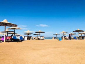 Turtles beach 116
